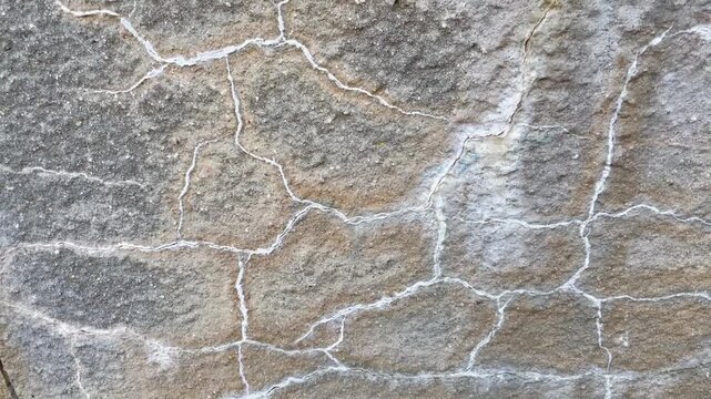 Close-up of weathered stone wall with network of fine white mineral veins and hairline cracks across rough beige-gray surface. Flat frontal viewpoint reveals granular texture