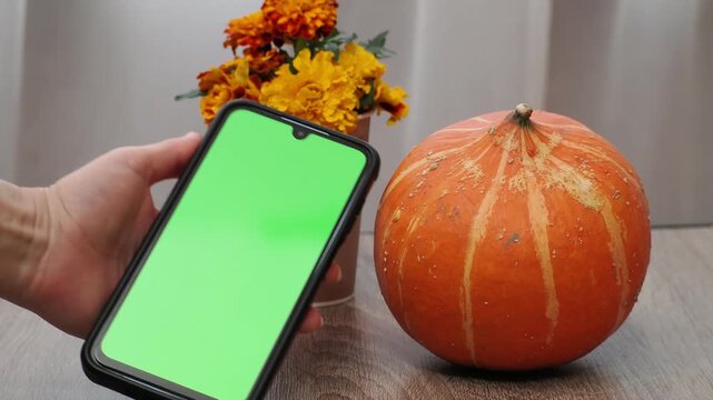 Autumn Thanksgiving arrangement, still-life, smartphon. Harvested pumpkins, a beautiful bouquet of yellow and orange flowers, fruits and vegetables, autumn leaves, and red berries on a wooden table. A