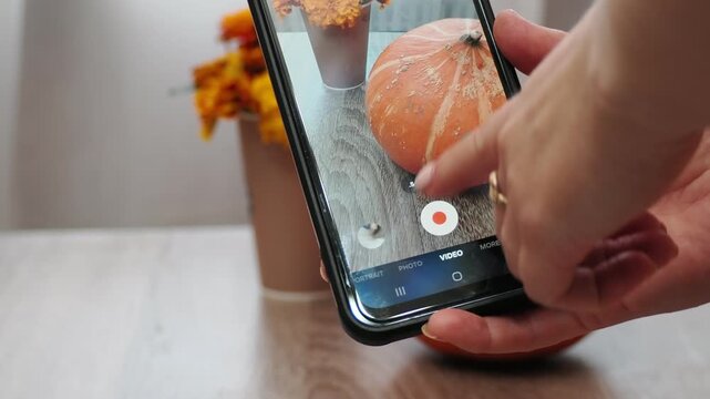 Autumn Thanksgiving arrangement, still-life, smartphon. Harvested pumpkins, a beautiful bouquet of yellow and orange flowers, fruits and vegetables, autumn leaves, and red berries on a wooden table. A