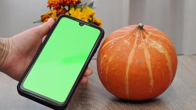Autumn Thanksgiving arrangement, still-life, smartphon. Harvested pumpkins, a beautiful bouquet of yellow and orange flowers, fruits and vegetables, autumn leaves, and red berries on a wooden table. A