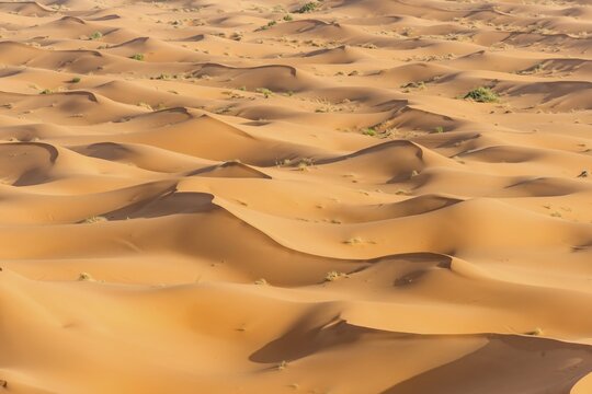 Sand dunes in the desert, dune landscape Erg Chebbi, Merzouga, Sahara, Morocco