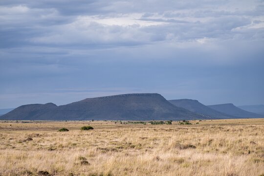 Landscape, Mountain Zebra National Park, Eastern Cape, South Africa