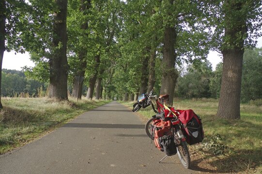 Bicycle loaded with luggage on a forest path with tall trees on a sunny day, Cycling holidays, Tourism, Wendland, Lower Saxony, Germany