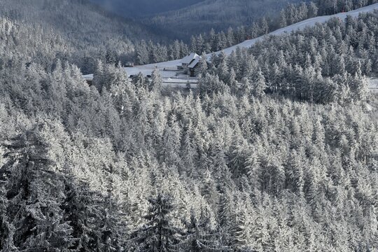 Snowy winter landscape with ski slope Seibelseckle, near Hornisgrinde, near Seebach, Ortenaukreis, Black Forest, Baden-W&uuml;rttemberg, Germany