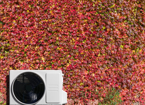 Goldener Herbst, Luft-Luft-W&auml;rmepumpe vor einer bepflanzten Hauswand