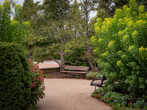 Wooden bench along a quiet gravel pathway surrounded by lush green trees and garden foliage in a peaceful park