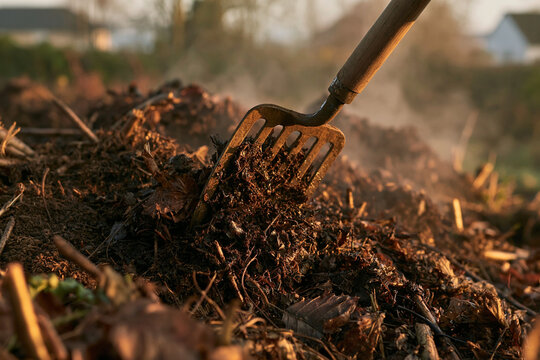 Fork Standing In A Crumbling Compost Windrow