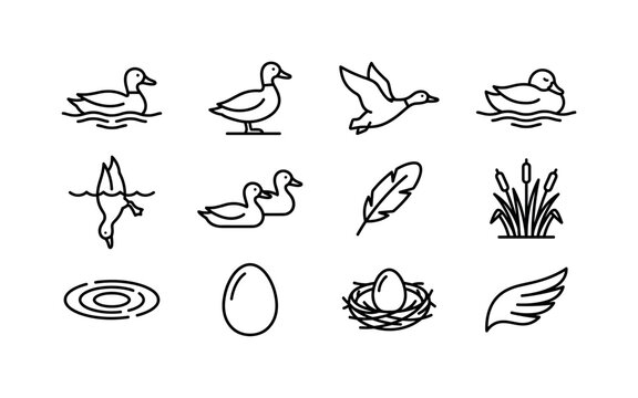 Mallard Duck Silhouettes, line icon set featuring swimming duck silhouette, standing duck silhouette, flying duck silhouette, resting duck silhouette, diving duck silhouette, duck pair silhouette,
