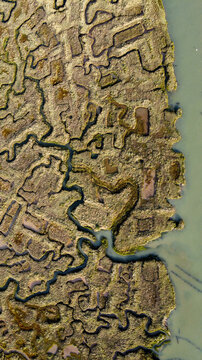 Aerial view of the salt marsh at Point Clear, featuring intricate winding tidal channels, muddy banks, and patches of green vegetation meeting the water in Point Clear, England, United Kingdom.