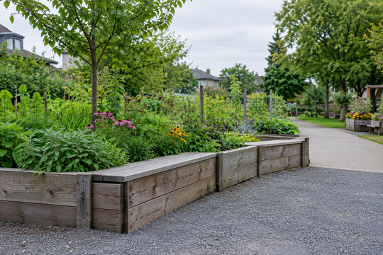 Raised Planter Border in a Neighborhood Community Garden