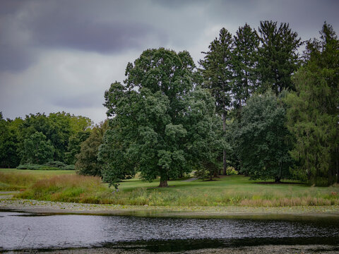 Tranquil park lake lined with lily pads and lush green trees beneath a moody overcast sky