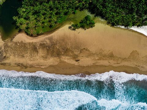 Aerial view of Pantai Wonogoro beach featuring golden sand, white surf, and dense palm trees in Malang, East Java, Indonesia.