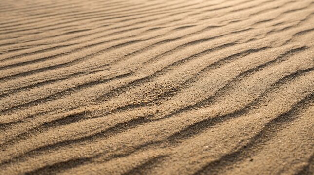 Natural ripples in fine sand under side lighting