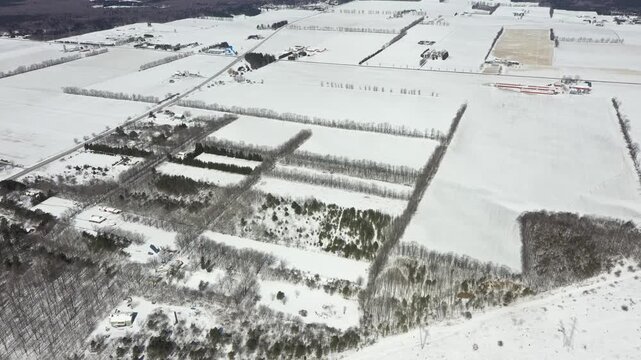 Snow covered agricultural fields and parallel tree lines create a winter patchwork near Barrie, Ontario.