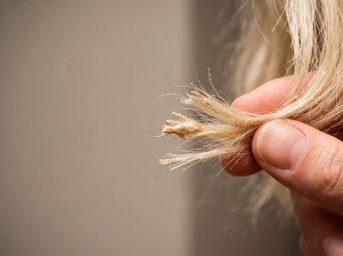Close up of a persons hand holding damaged split ends of blonde hair.