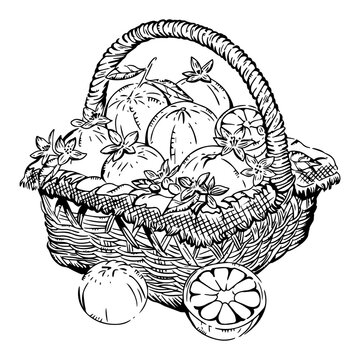 Oranges in a Woven Basket