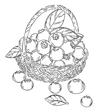 Blueberries in a Woven Basket