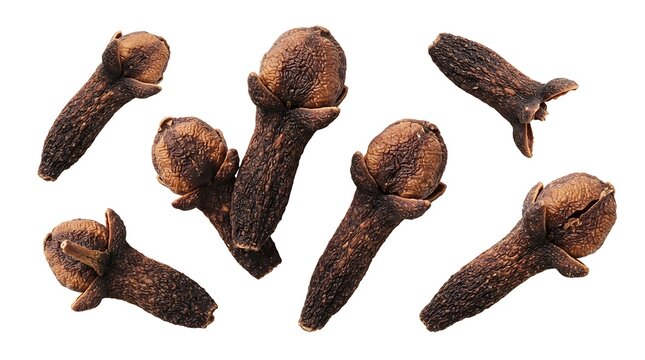 Dried whole clove spice buds isolated on a white background, showcasing the dark brown texture and unique shape of this aromatic culinary ingredient