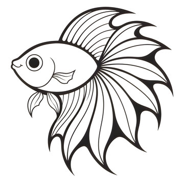 Beautiful Siamese fighting fish or Betta fish line art vector illustration with long flowing fins