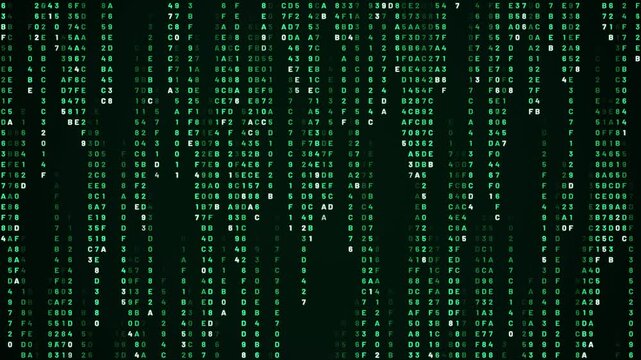 Digital rain of green hexadecimal code falling on black screen, seamless loop 4K