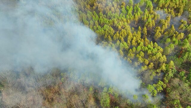 Drone view of intense plantation fire with spreading smoke reflects climate change impacts, rising temperatures, forest fire vulnerability, ecological damage, and urgent need for resilience solutions.
