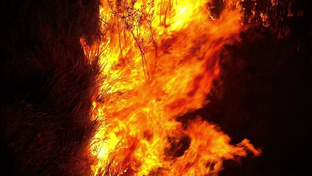 Aerial view of severe night forest fire with blazing flames reflects natural disaster threats, ecological damage, wildfire management challenges, and the urgency of protecting vulnerable landscapes.
