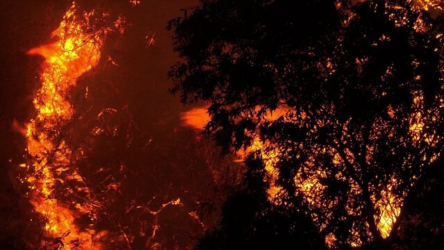 A drone shot of a destructive wildfire at night, fiery flames consuming trees and forest areas while thick smoke fills the air, representing modern environmental challenges and climate threats. 4k.
