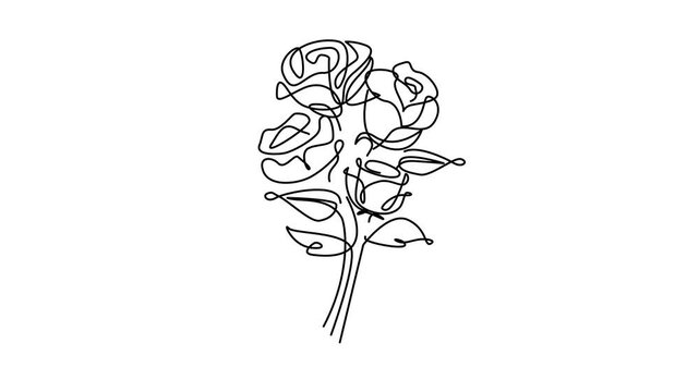 Self-drawing animation of a continuous one-line art drawing of a bouquet of roses on a white background