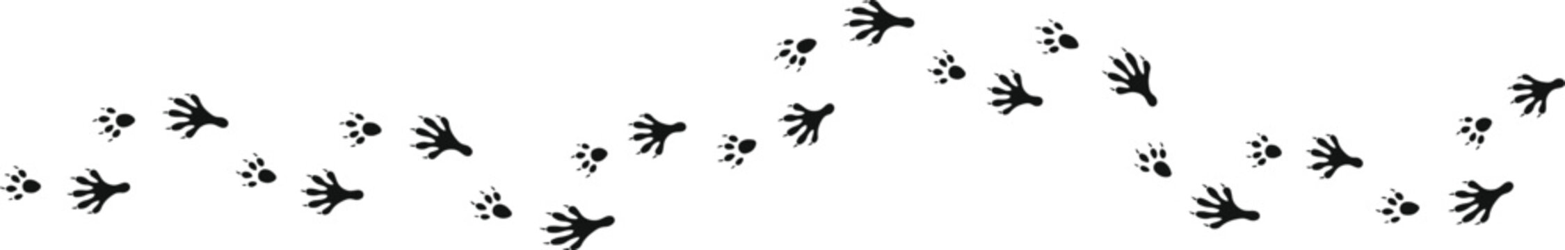 Mouse Footprint Silhouette Set with Walking Rodent Tracks, Small Animal Paw Prints for Wildlife, Pet, Nature, Tracking and Footprint Vector Design