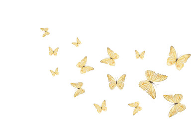Delicate watercolor illustration of yellow butterflies in flight, arranged on a white background with airy spacing. Hand painted nature design for stationery, invitations and spring decor © Ekaterina