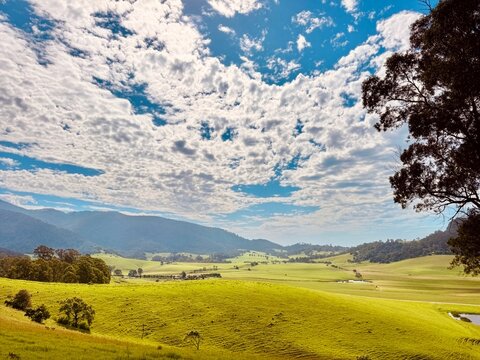 Picturesque countryside landscape with vibrant green meadows and rural farmland in Central Tilba region