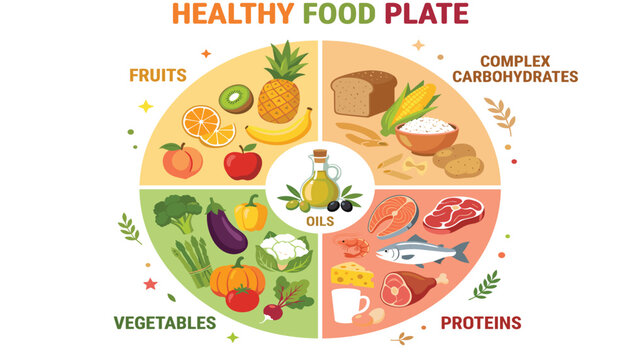 Healthy food plate infographic vector illustration. Fruits, vegetables, proteins, complex carbohydrates, oils, and balanced nutrition.