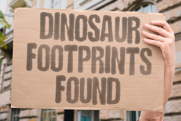 "Dinosaur footprints found" Walkers and scientists discover giant tracks preserved in rock after floods and landslides reveal them. DINOSAUR. FOOTPRINTS. FOUND. TRACKS. DISCOVERY. © AndriiKoval