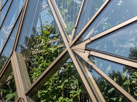 Geometric Greenhouse Structure with Climbing Plants