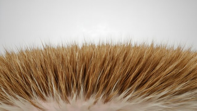 Closeup of animal fur texture showing brown and white hairs against a light background