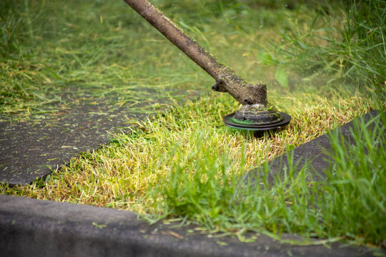 Close up of a string trimmer cutting green grass and weeds in a garden, focus selective