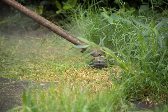Close up of a string trimmer cutting green grass and weeds in a garden, focus selective
