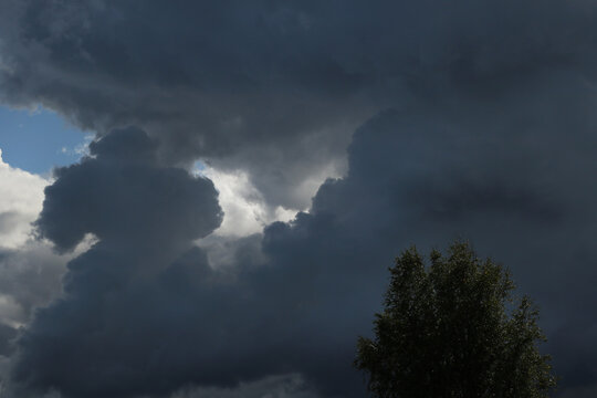 stormy rainy clouds with green tree