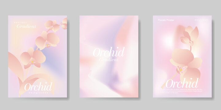 Orchid gradient poster background vector set. Minimalist poster summer and spring cover template. Ideal design for social media, banner, card, ads.