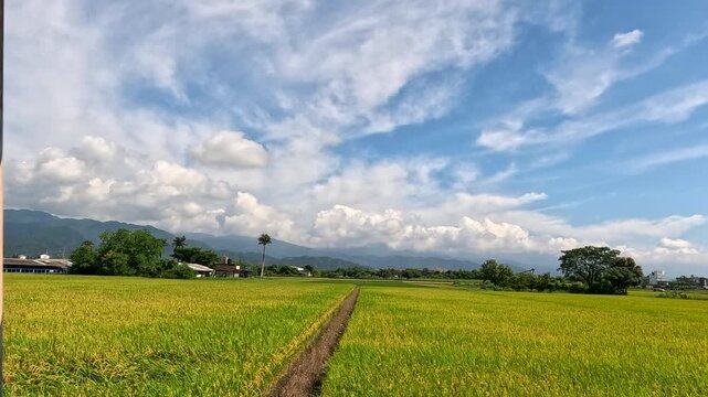 Car side window view of rice fields and village, Taiwan