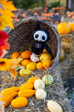 Cute black Halloween plush monster with white skull face sitting inside a rustic wicker basket surrounded by colorful pumpkins, festive autumn harvest decoration with gourds and straw.