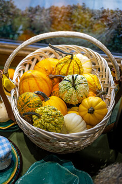Colorful yellow white and green ornamental pumpkins and gourds arranged in a white wicker basket, decorative autumn harvest collection with textured squash and natural seasonal colors.