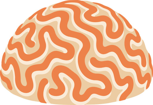Orange Brain Coral With Cream Wavy Ridges