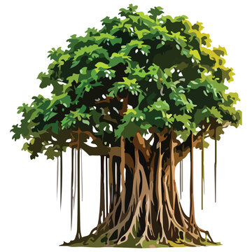 A banyan tree with aerial roots is depicted in a vibrant vector illustration