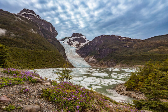 View of ventisquero colgante hanging glacier with icebergs floating in a patagonian lake, patagonia