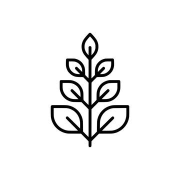Vascular tree with dense branching capillary network outline line art vector icon