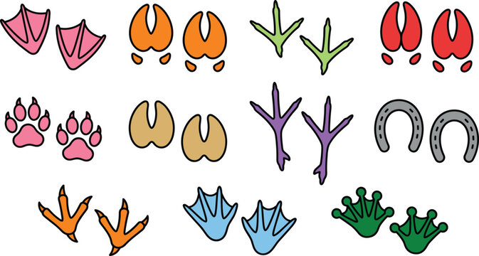 Animal Tracks and Footprints Vector Icon Set Featuring Paw Prints, Webbed Feet, Bird Claws, Hooves, Horseshoes, and Wild Wildlife Trails for Tracking Designs