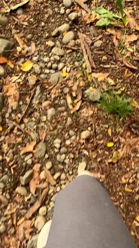 First-person view of a person wearing hiking shoes walking on a rocky path in the woods during autumn, with colorful fallen leaves covering the ground and creating a serene, natural atmosphere