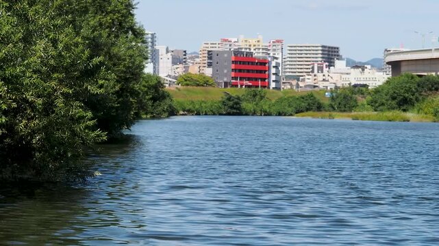 河川の水辺と街の風景
