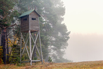 Ambona /czatownia/ na skraju lasu. © Janusz Lipiński
